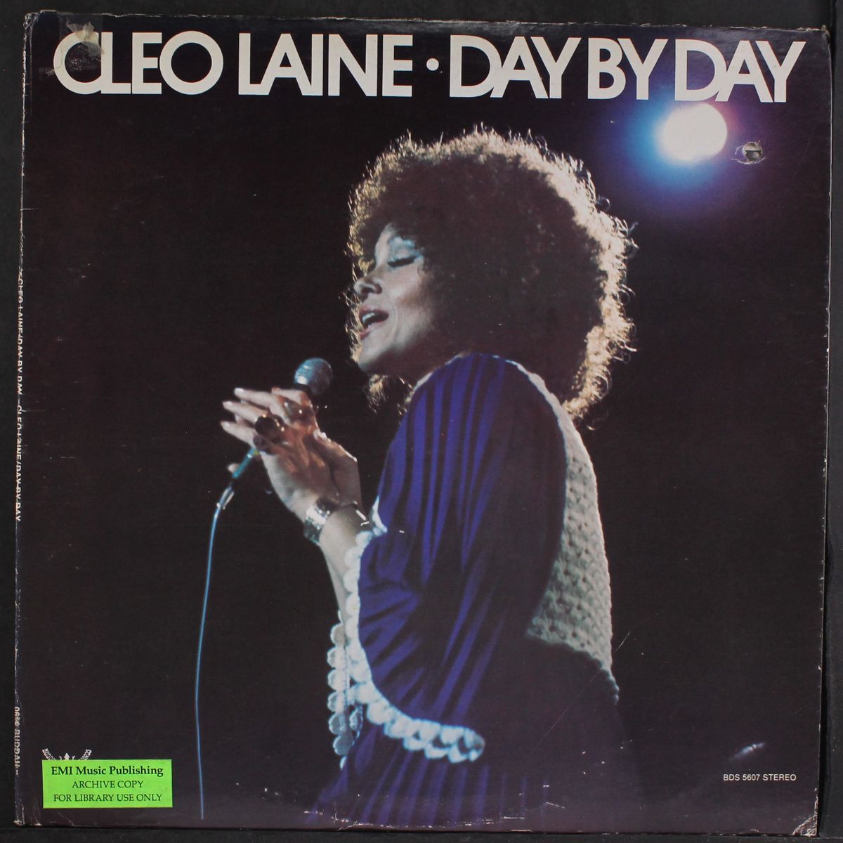 day by day by CLEO LAINE