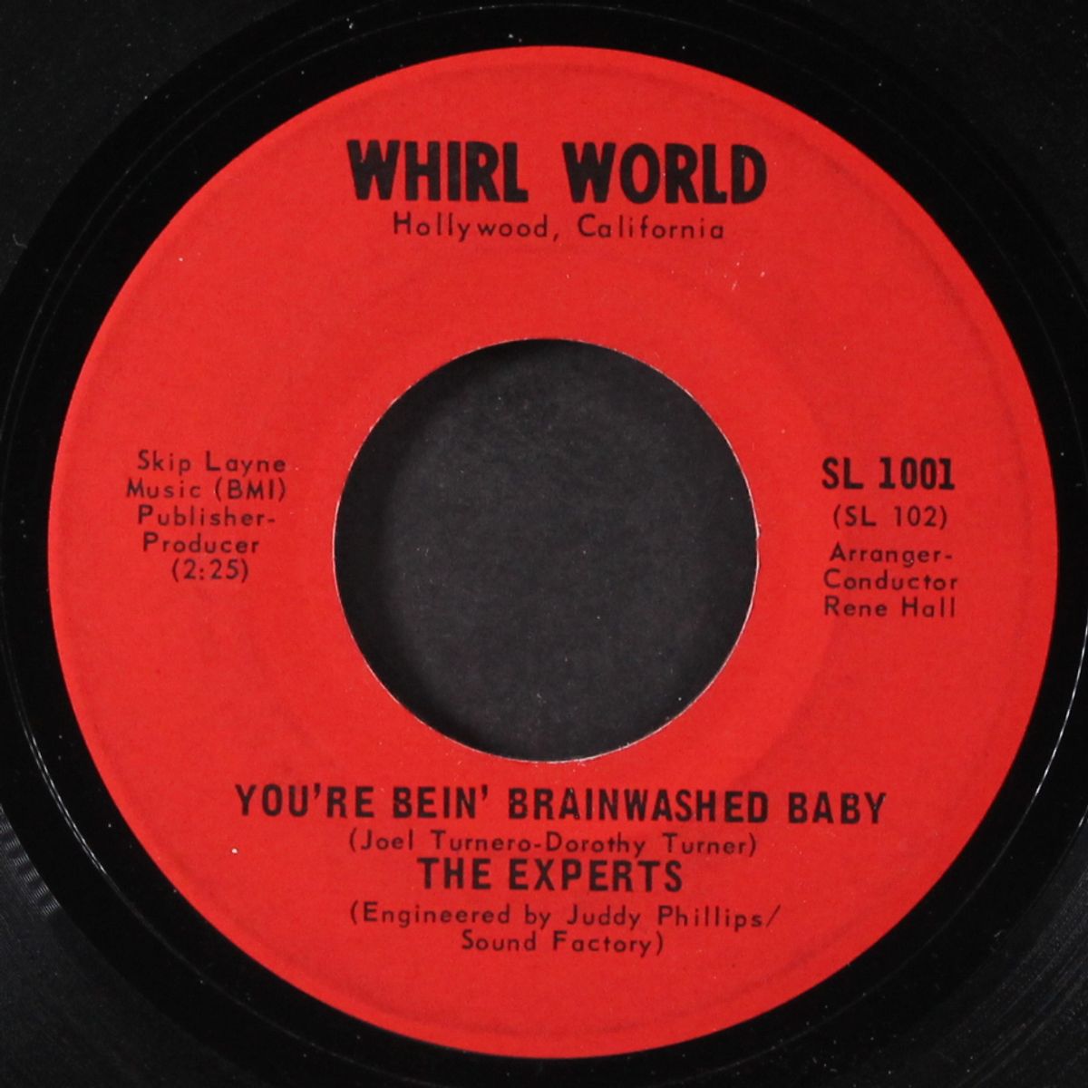 you're being brainwashed baby / wake me when it's over by EXPERTS