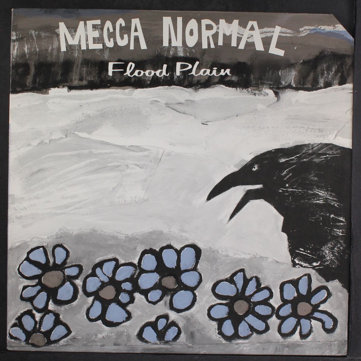 flood plain by MECCA NORMAL
