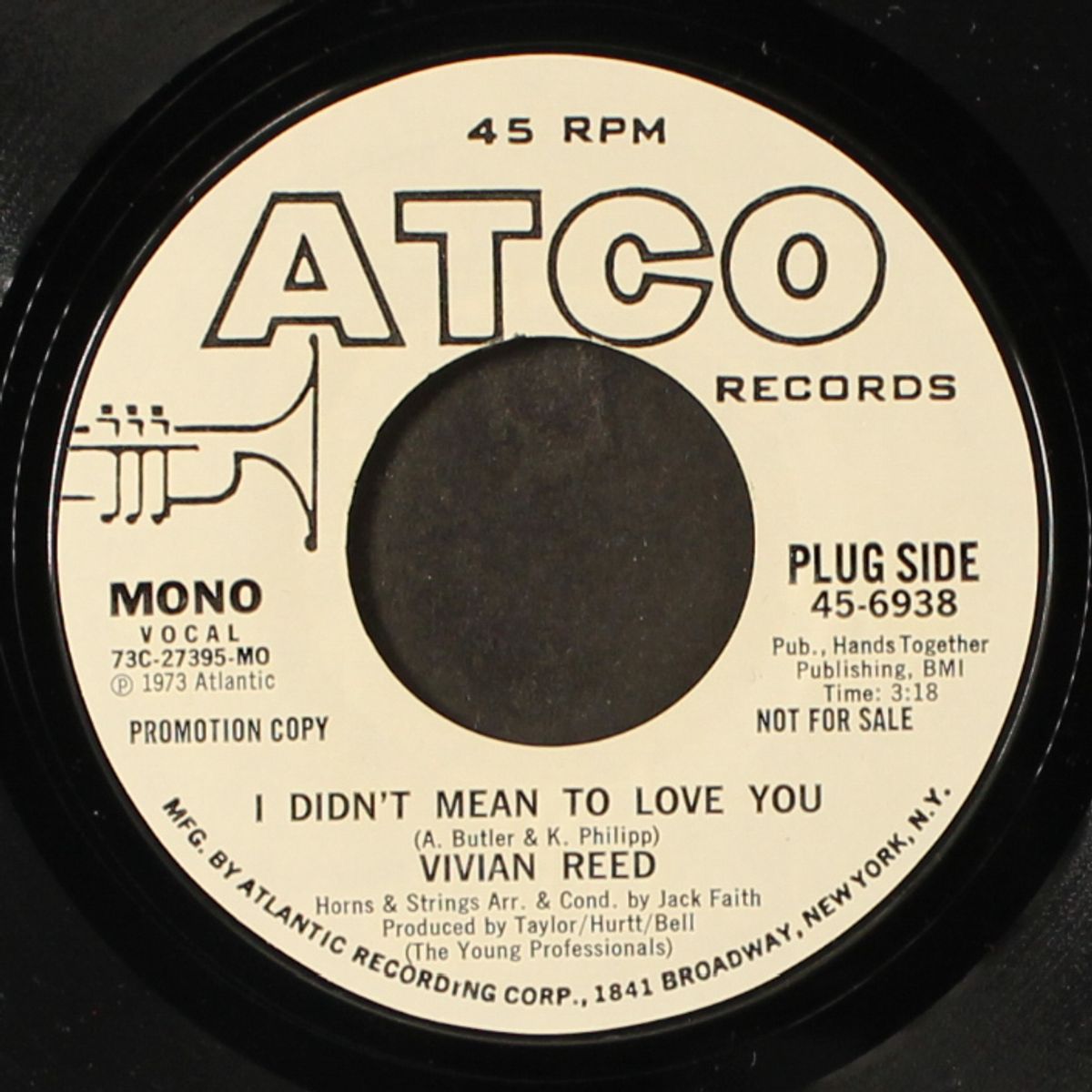 i didn't mean to love you / mono by VIVIAN REED
