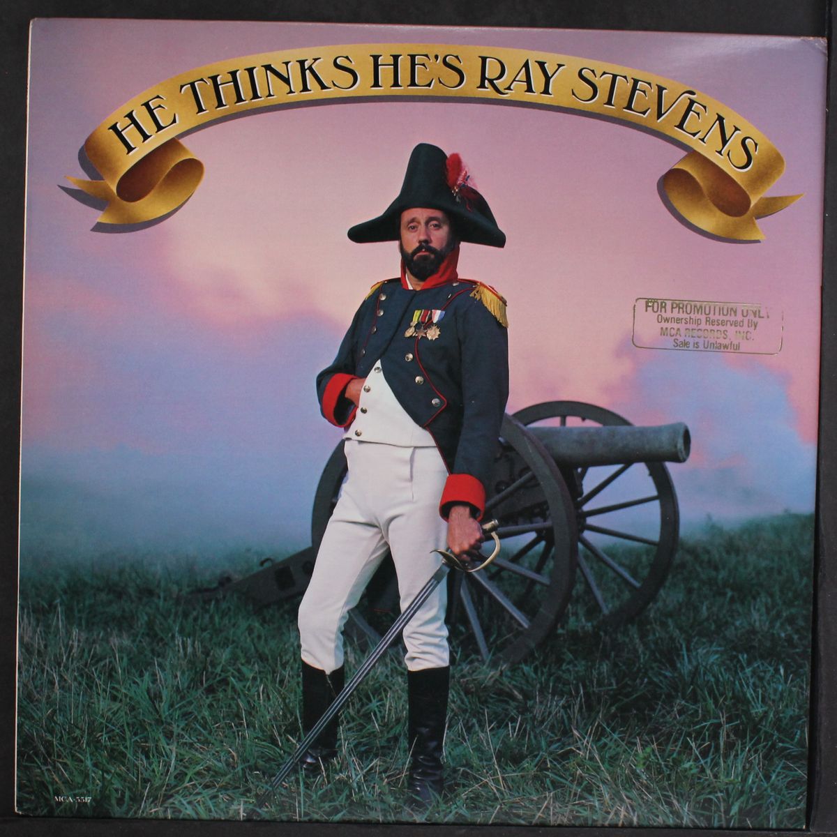 he thinks he's ray stevens by RAY STEVENS
