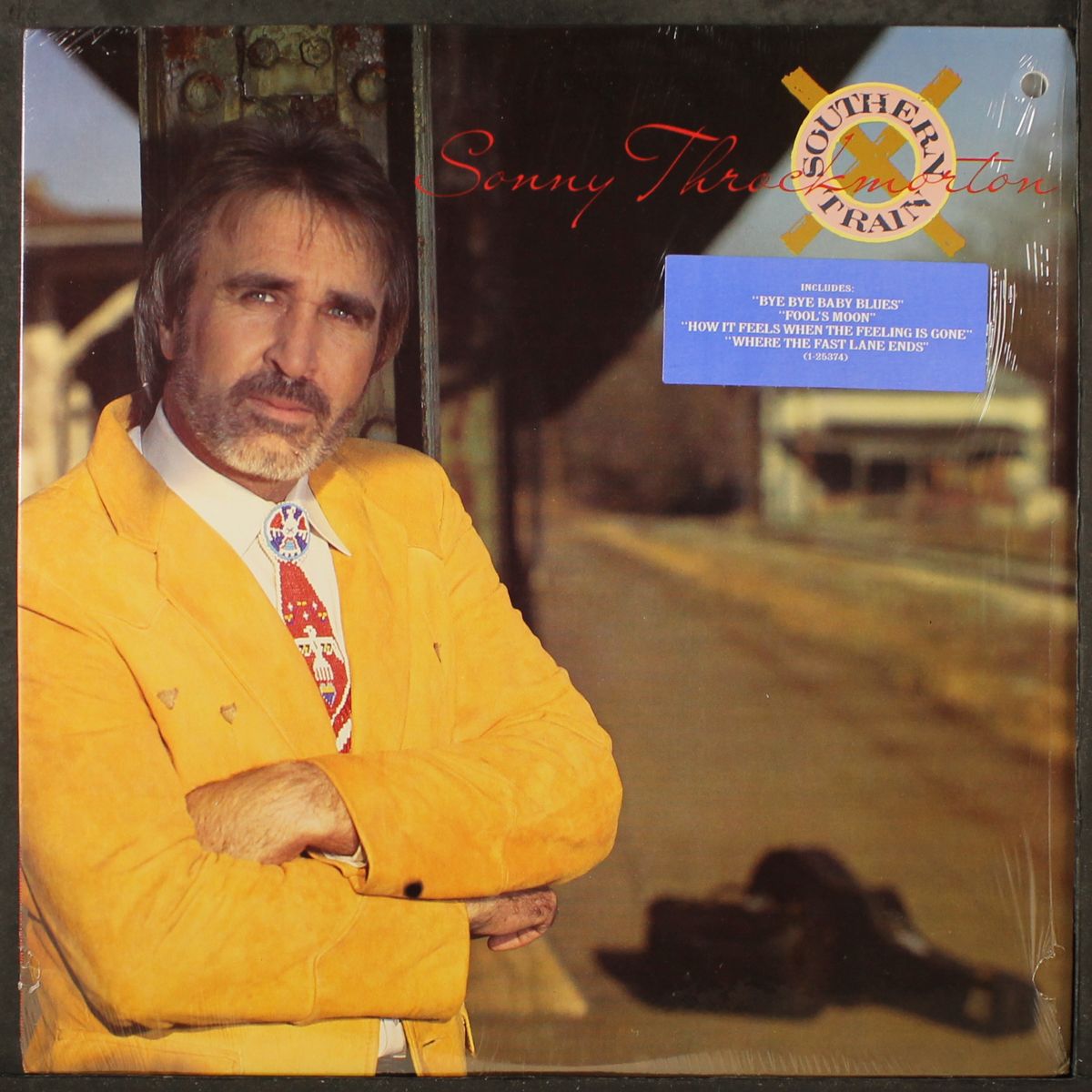 southern train by SONNY THROCKMORTON