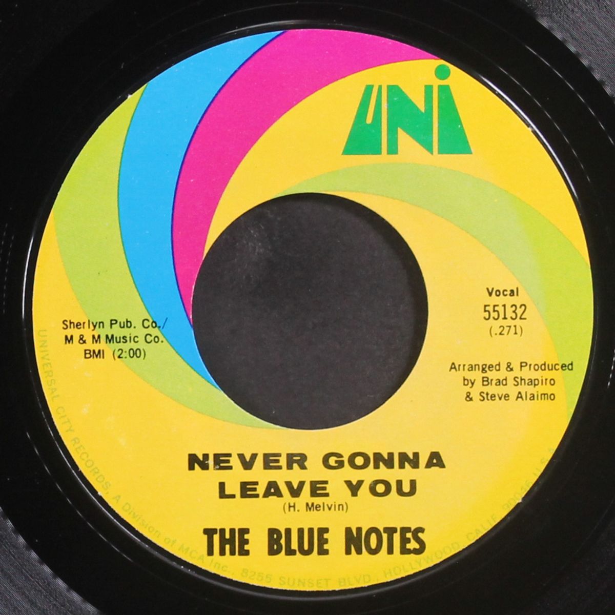 hot chills and cold thrills / never gonna leave you by BLUE NOTES