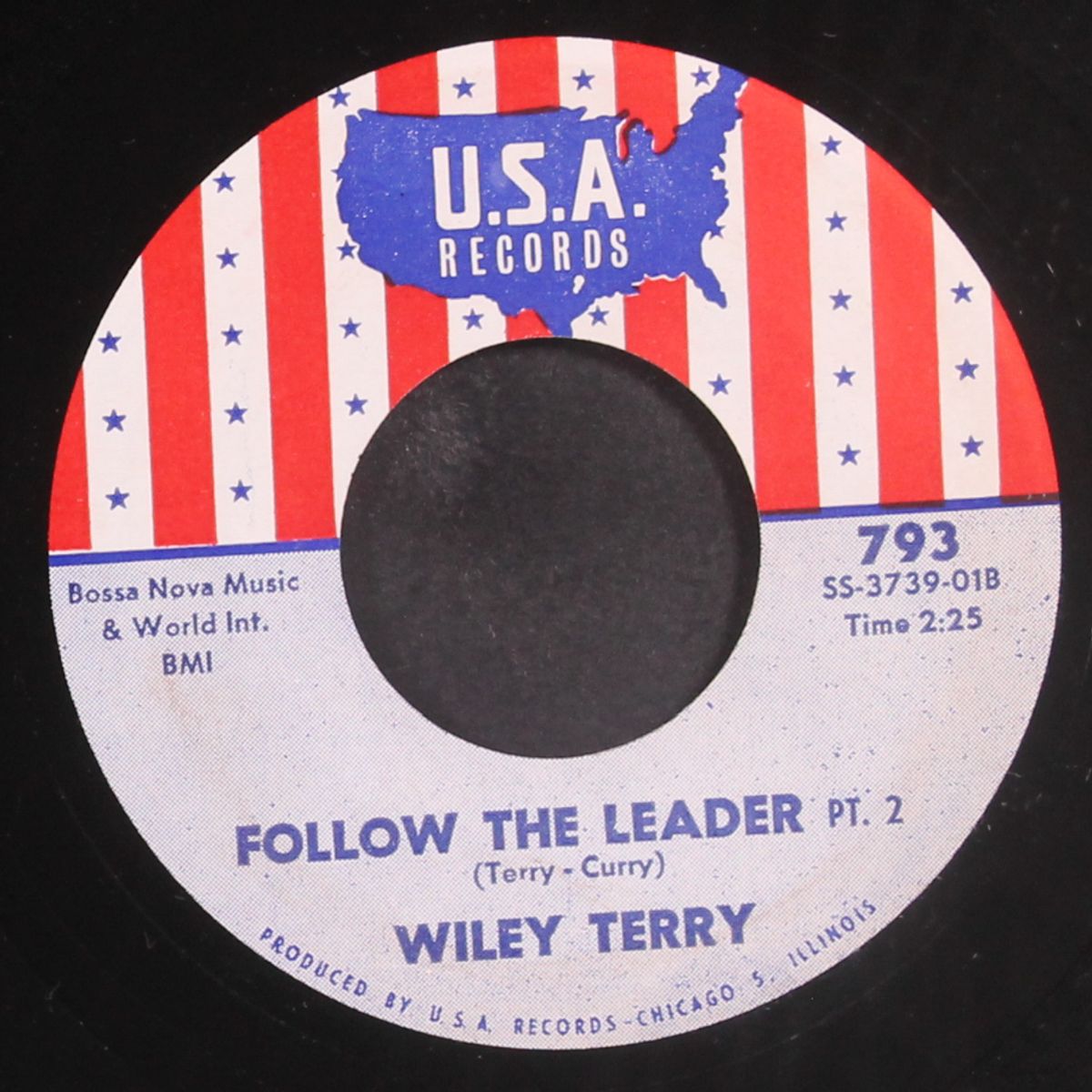 follow the leader / part 2 by WILEY TERRY