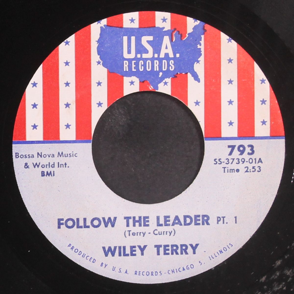 follow the leader / part 2 by WILEY TERRY