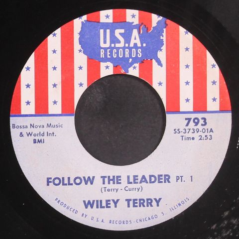 WILEY TERRY
