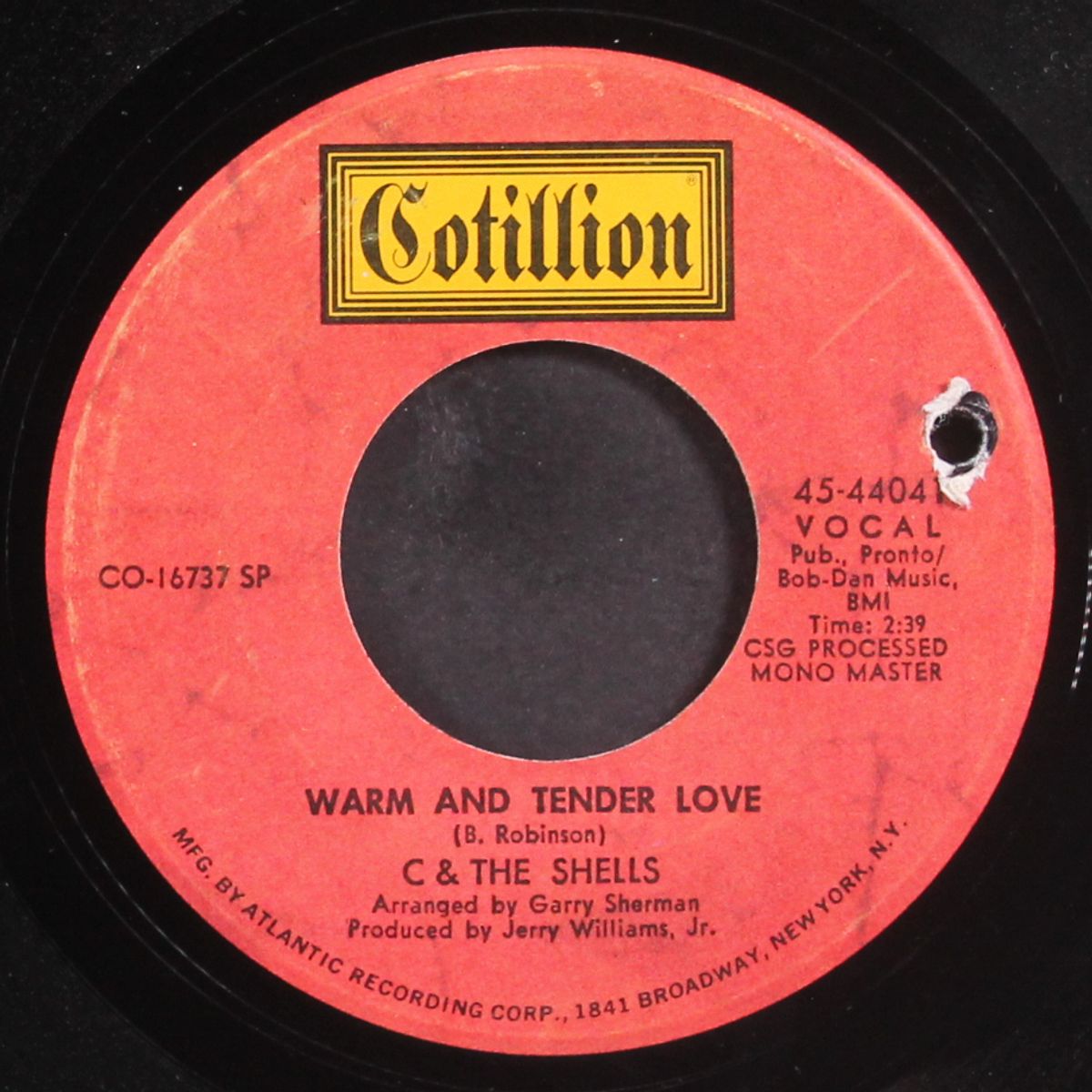 warm and tender love by C & SHELLS