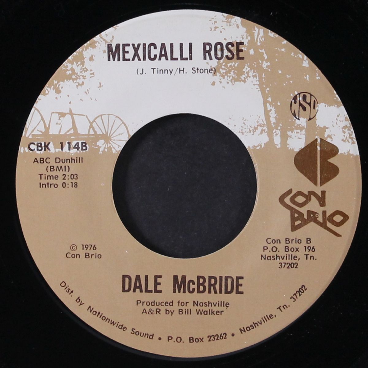 ordinary man / mexicalli rose by DALE MCBRIDE