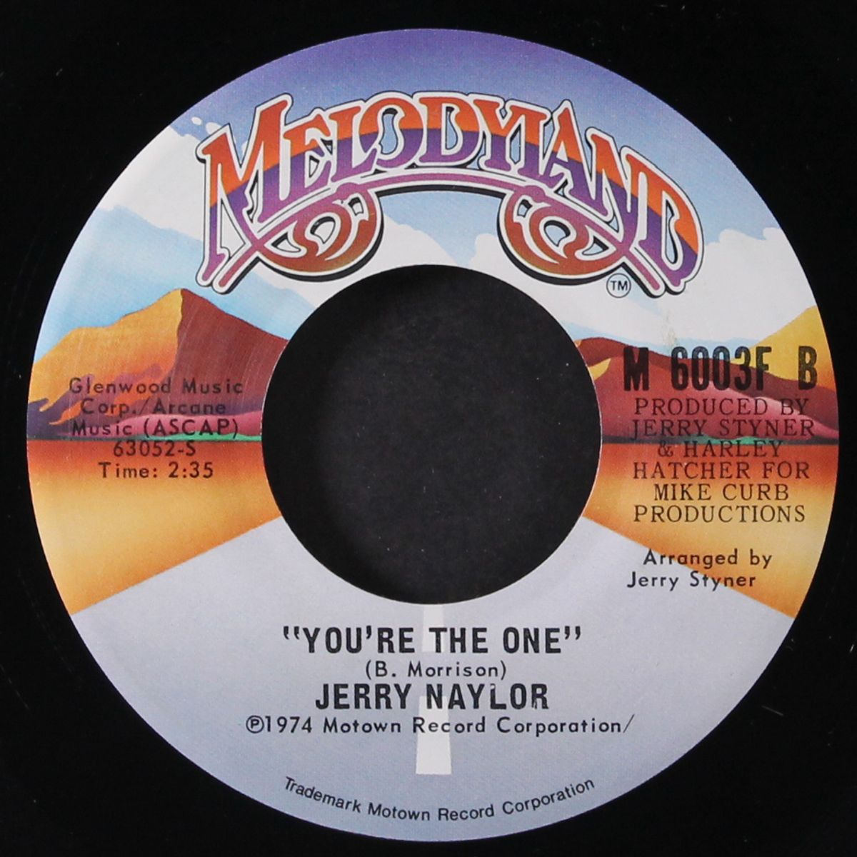is this all there is to a honky tonk? / you're the one by JERRY NAYLOR