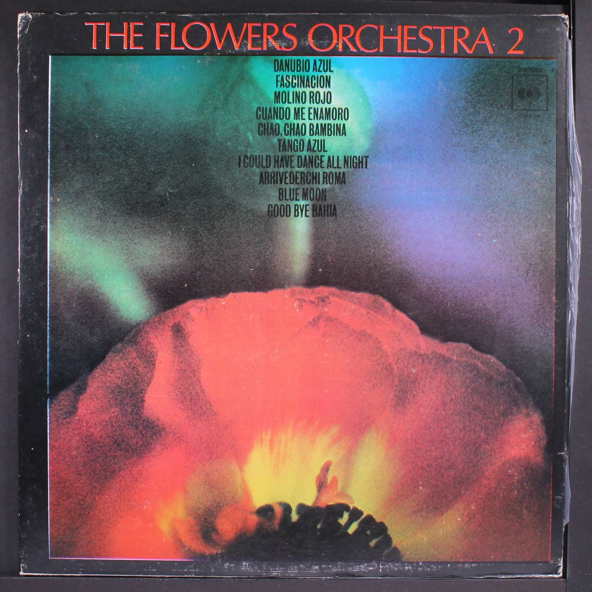 2 by FLOWERS ORCHESTRA