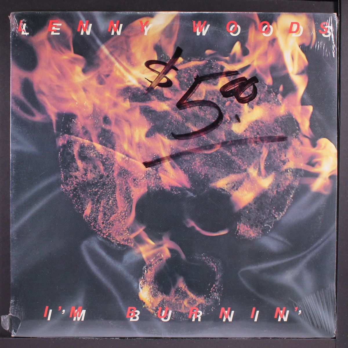 i'm burnin' by LENNY WOODS