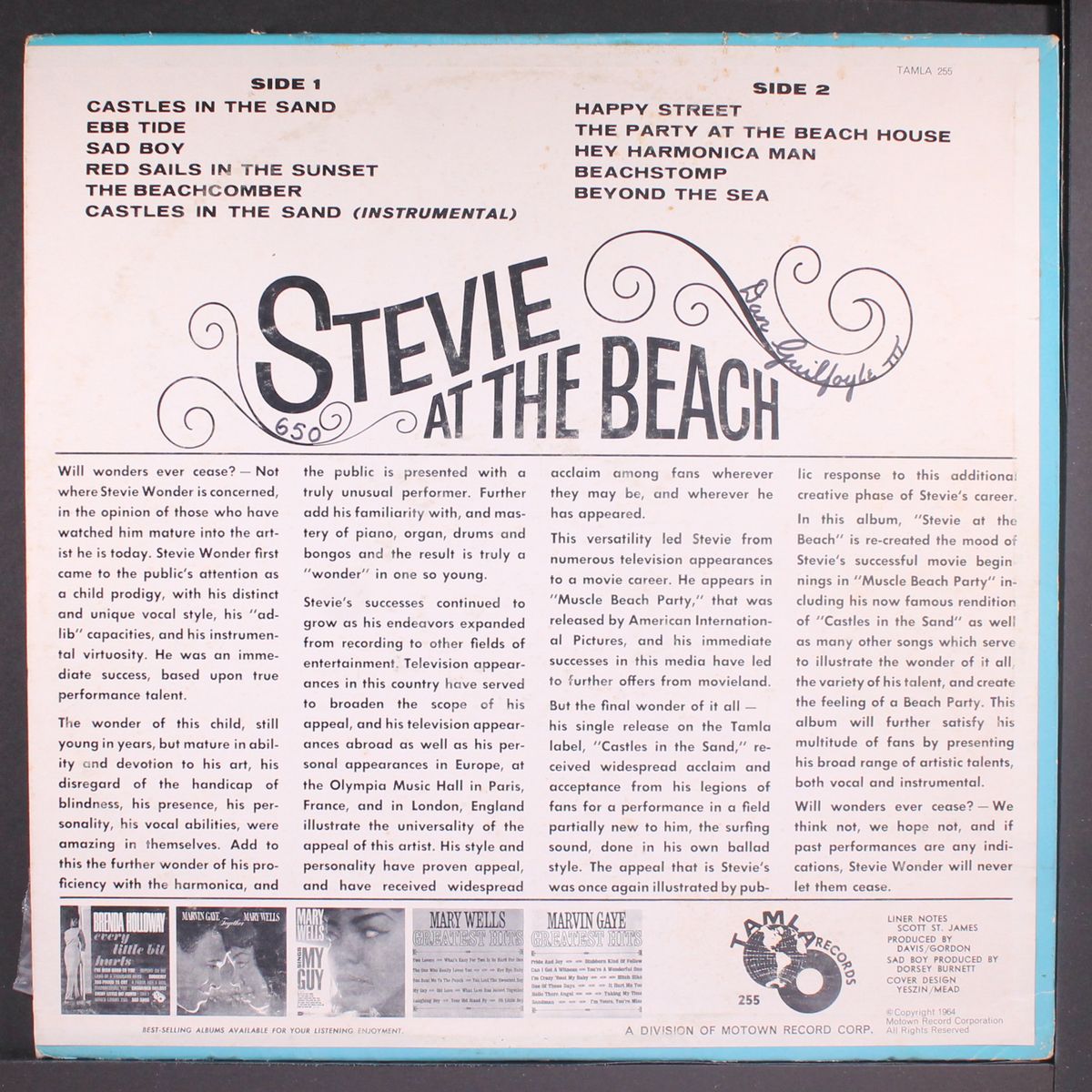 at the beach by STEVIE WONDER