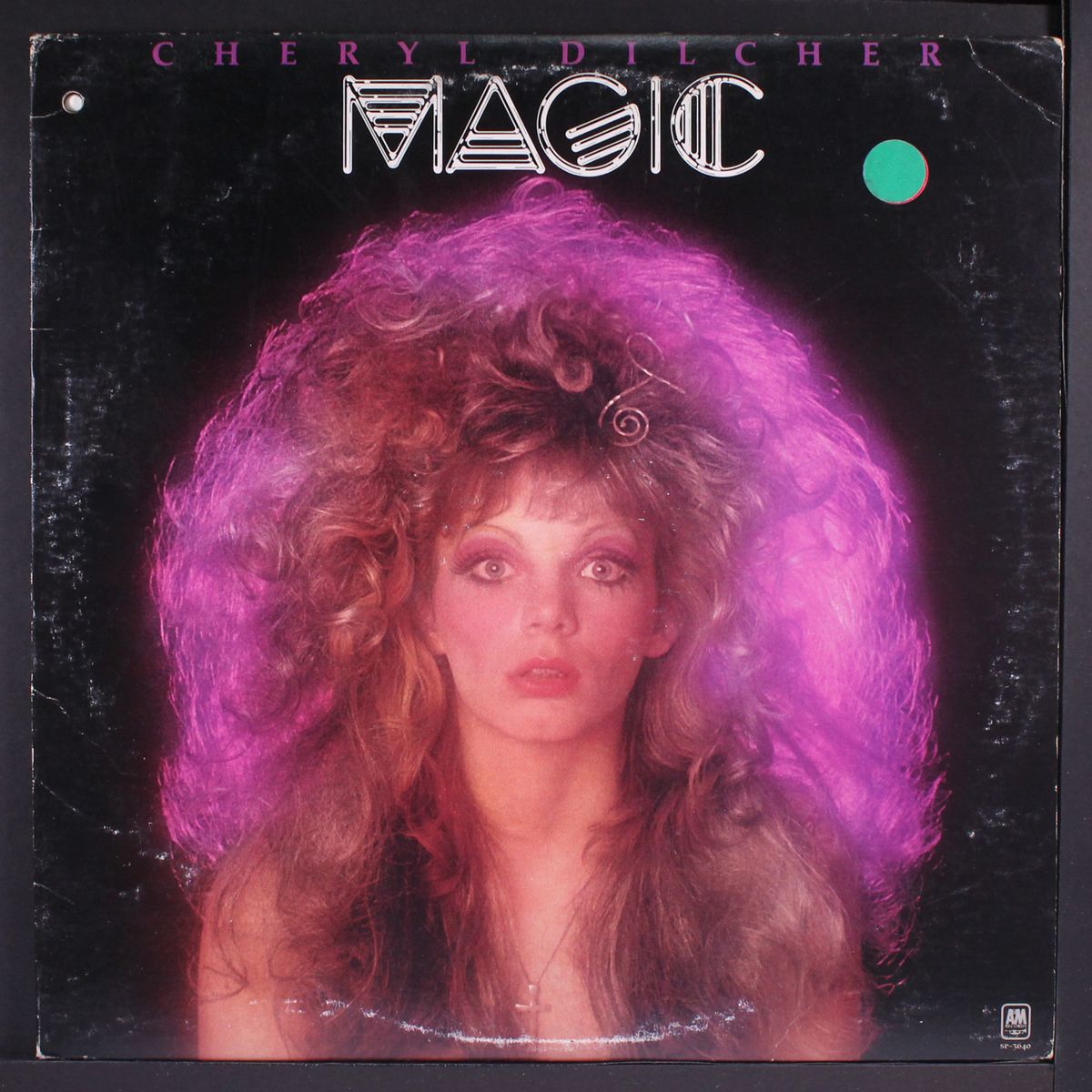 magic by CHERYL DILCHER