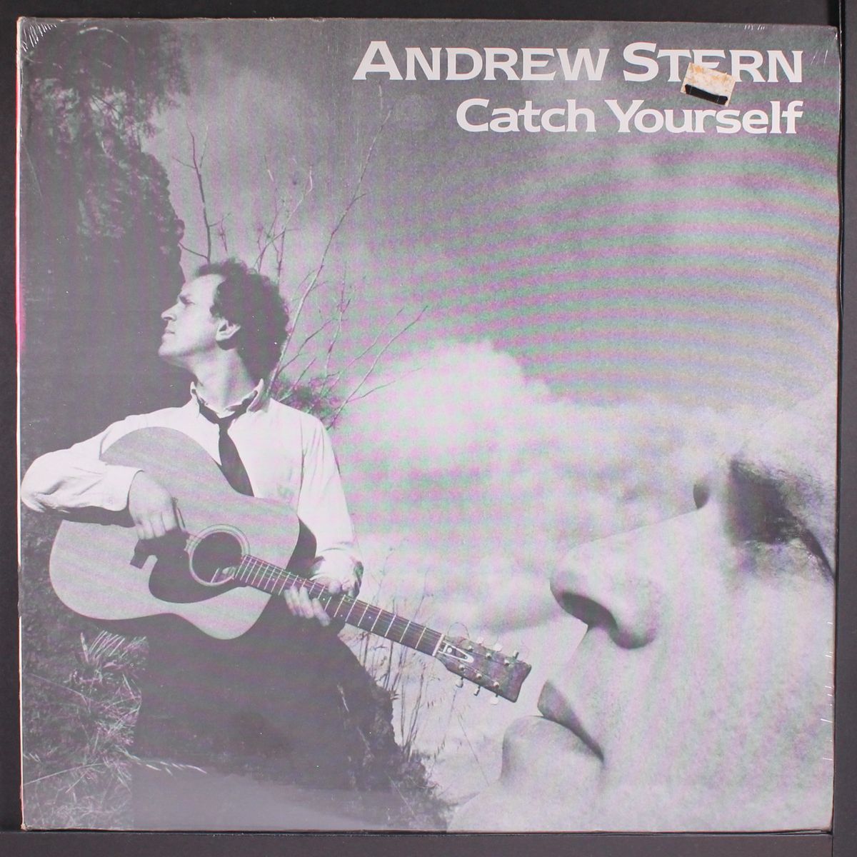 catch yourself by ANDREW STERN