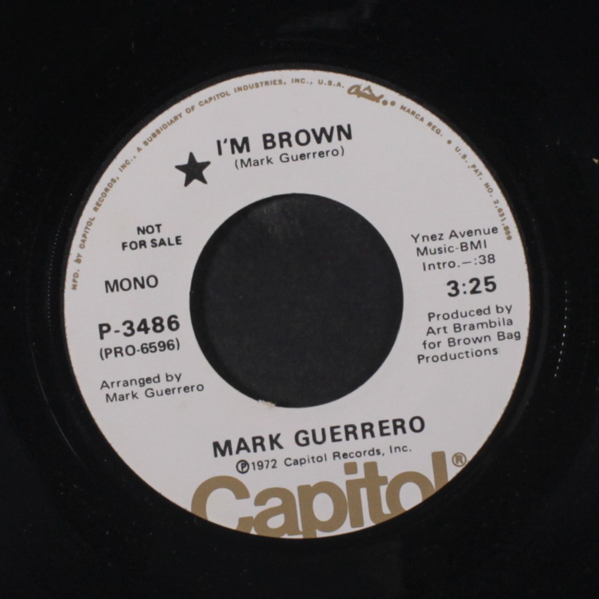 i'm brown / mono by MARK GUERRERO
