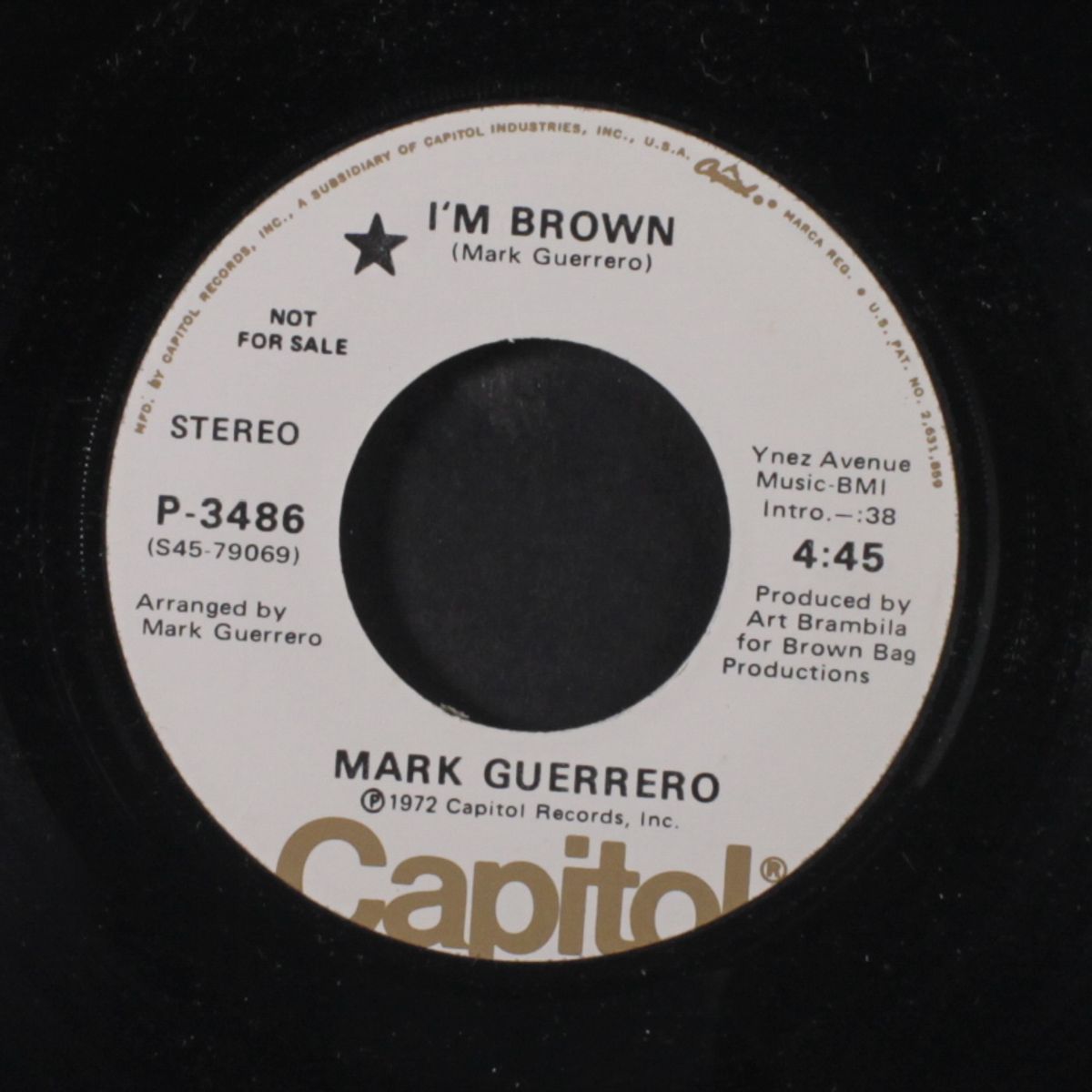 i'm brown / mono by MARK GUERRERO