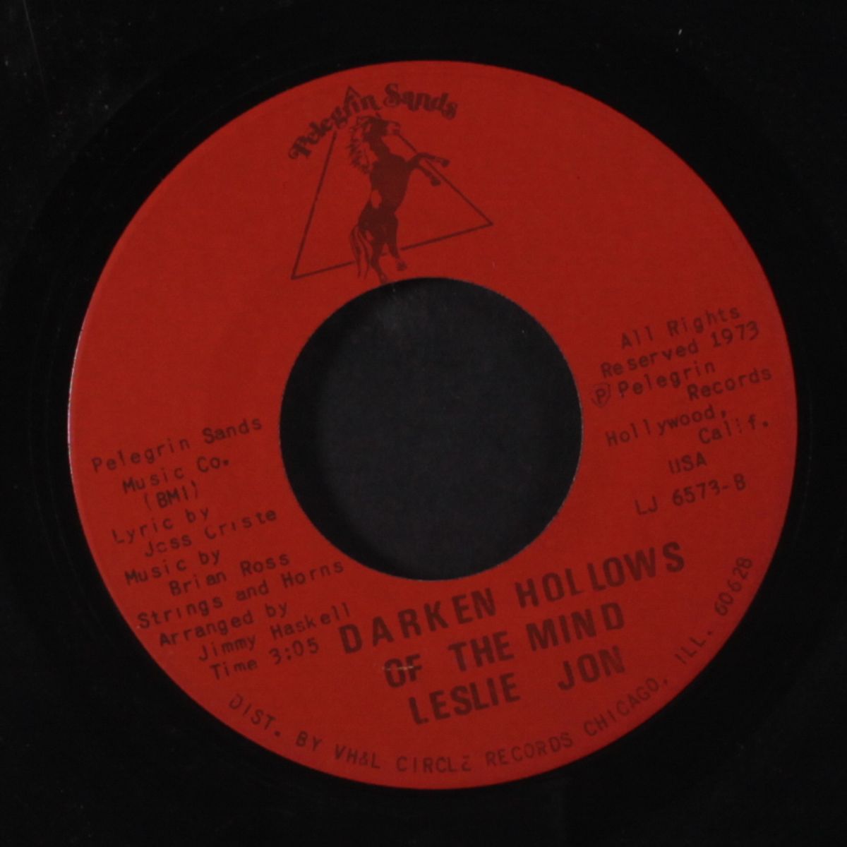 never want to lose this feeling / darken hollows of the mind by LESLIE JON