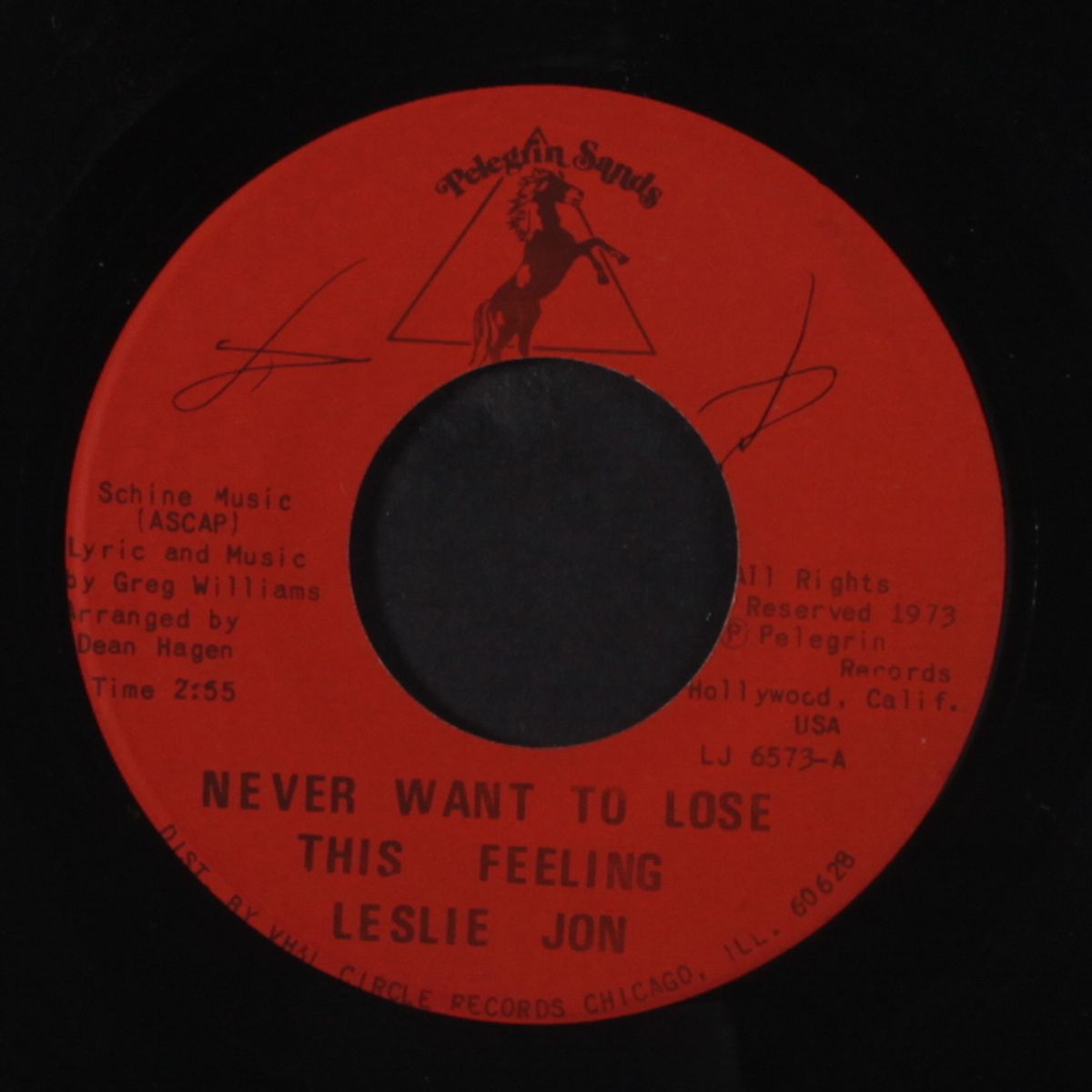 never want to lose this feeling / darken hollows of the mind by LESLIE JON
