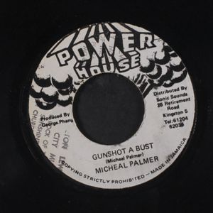 MICHAEL PALMER