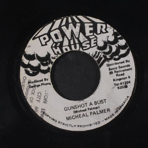 MICHAEL PALMER