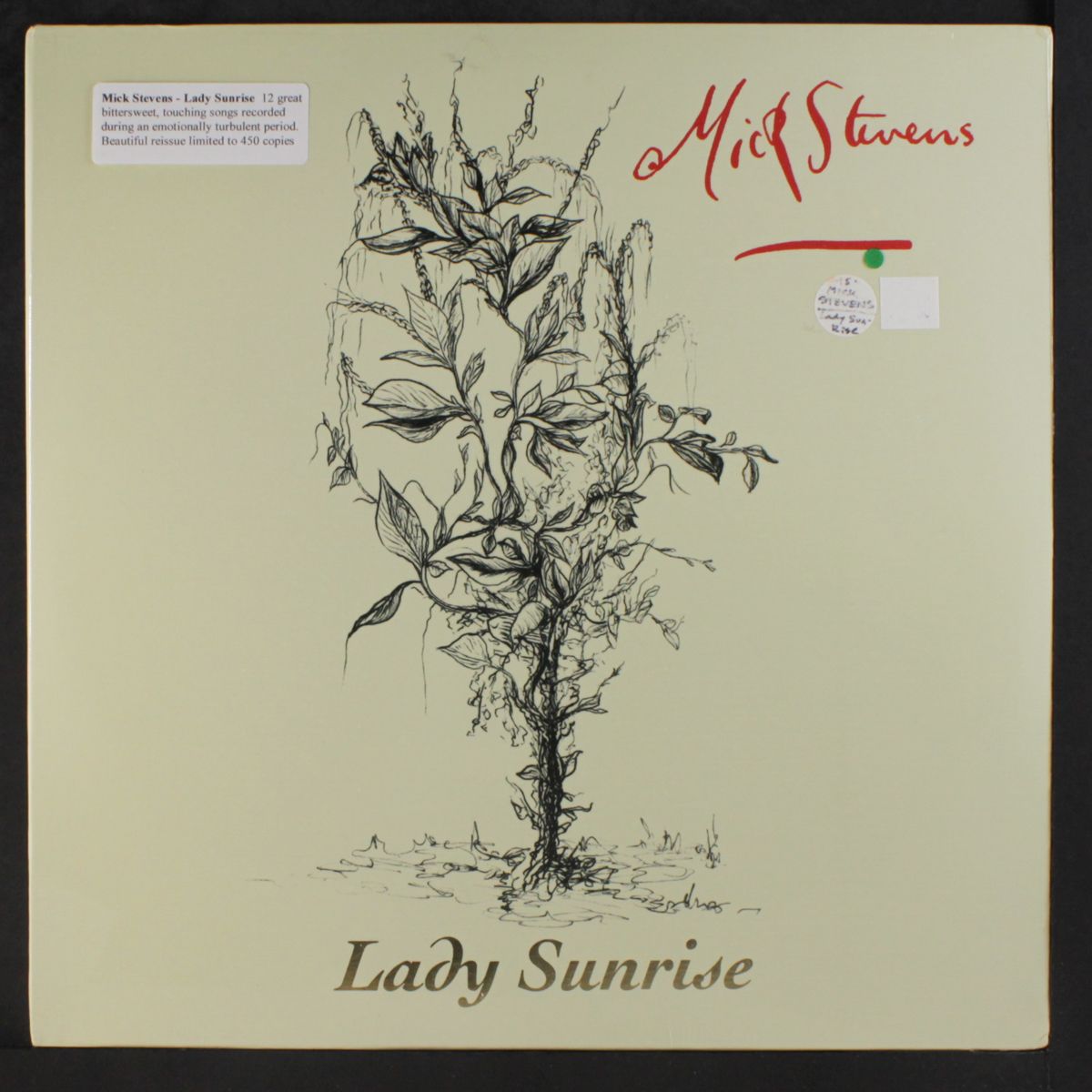 lady sunrise by MICK STEVENS