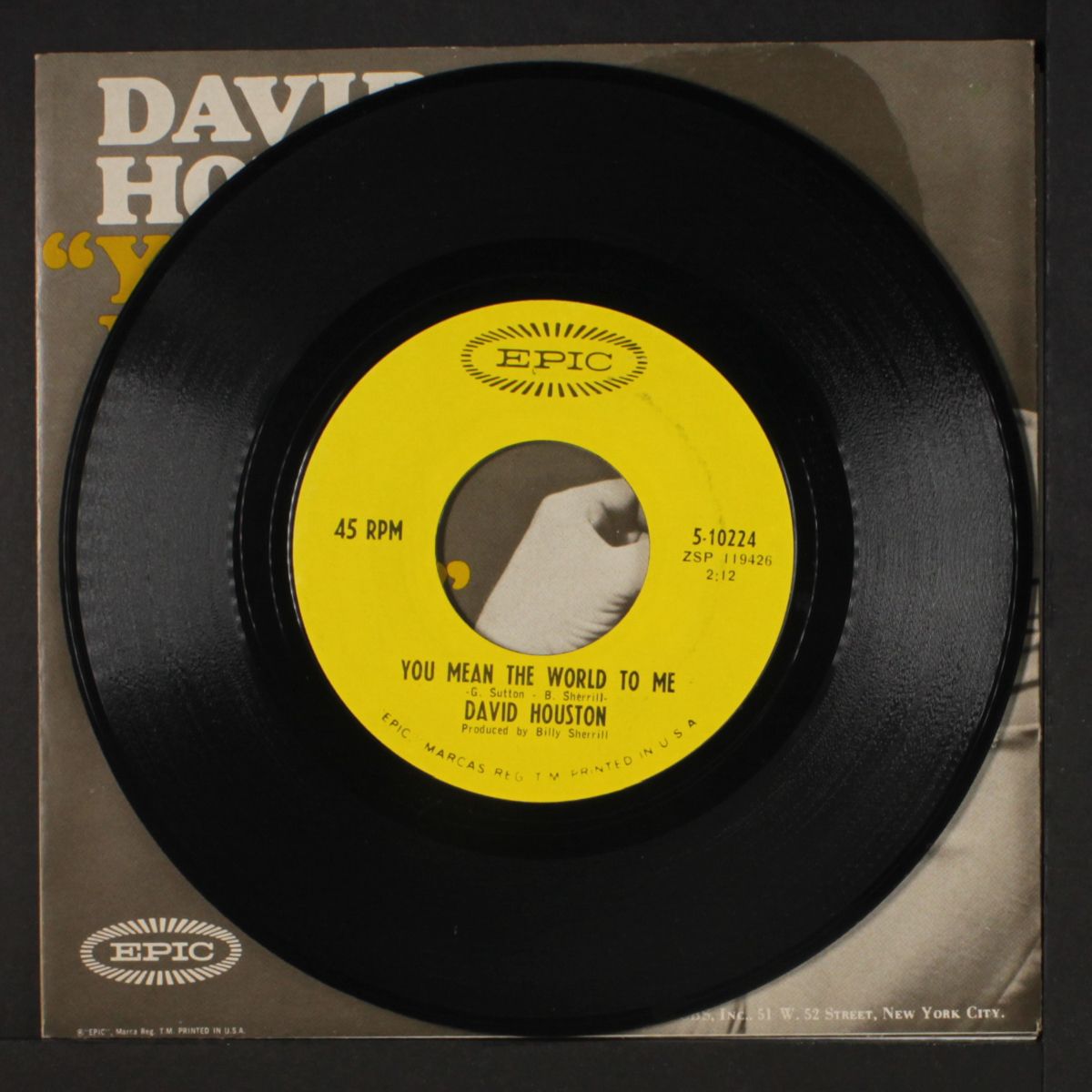 you mean the world to me by DAVID HOUSTON