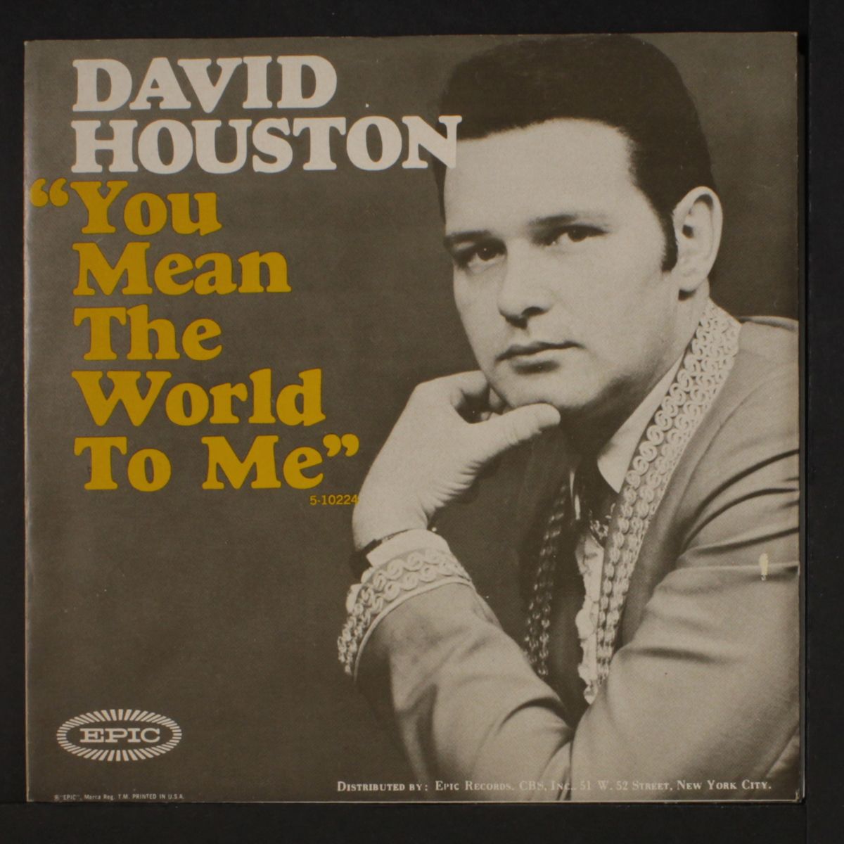you mean the world to me by DAVID HOUSTON