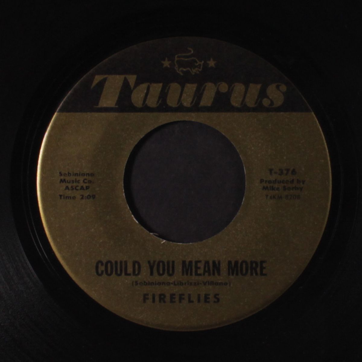 runaround / could you mean more by FIREFLIES
