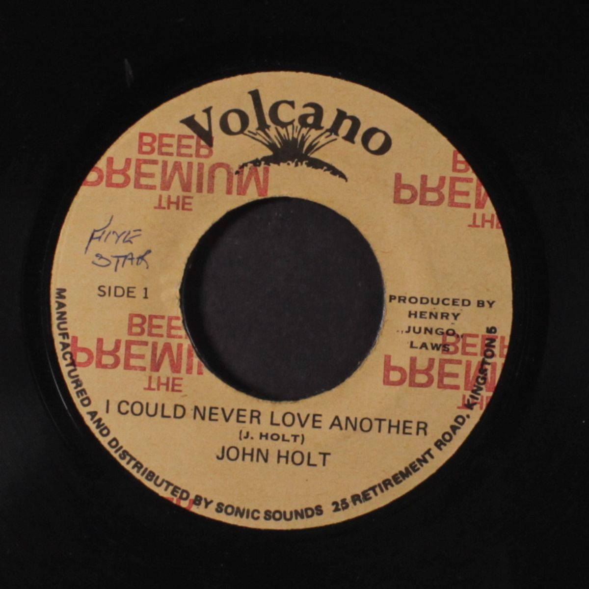i could never love another / version by JOHN HOLT