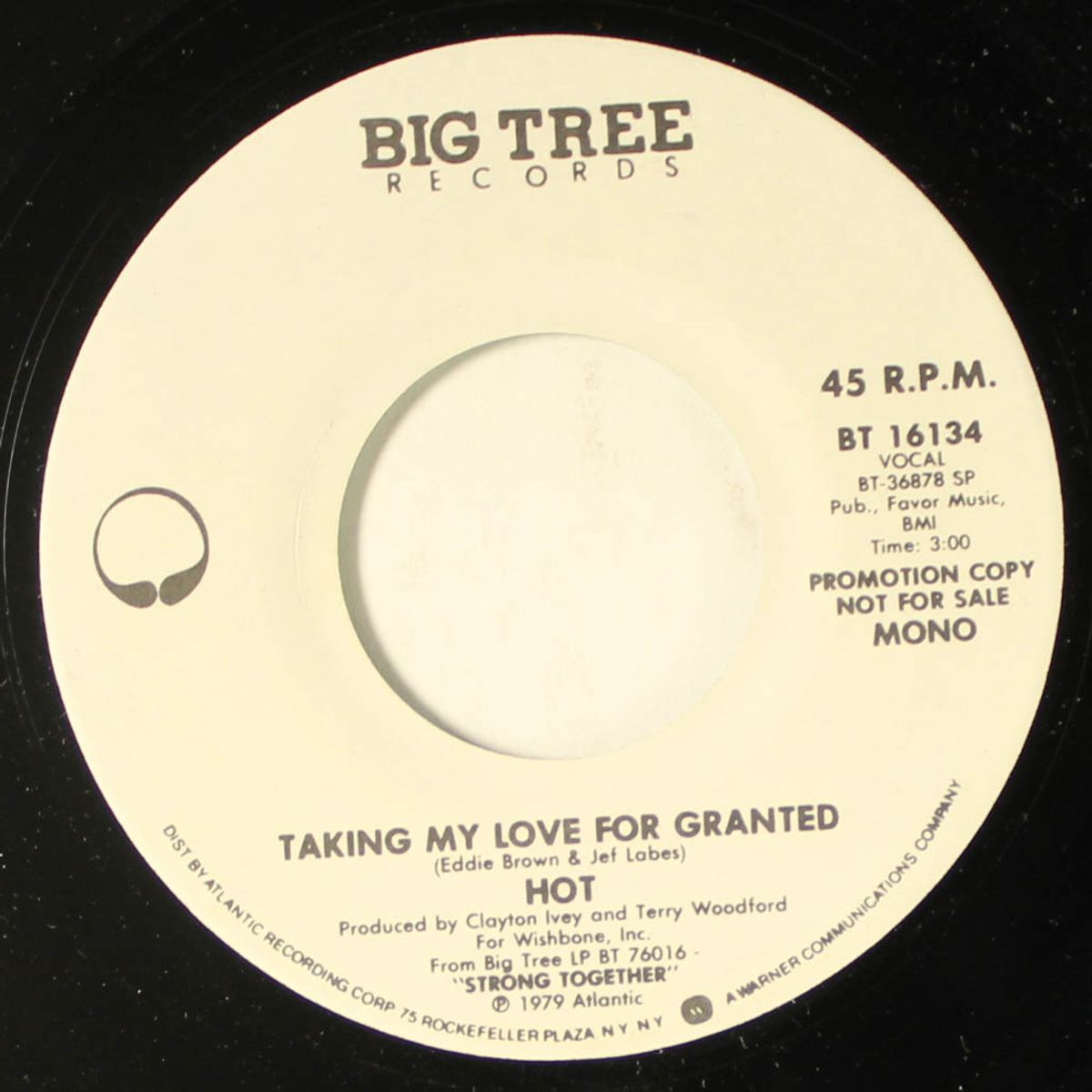 taking my love for granted / mono by HOT