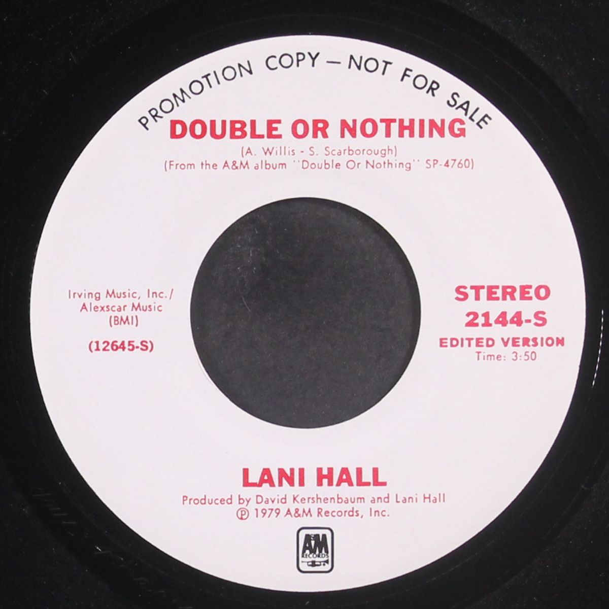double or nothing / mono by LANI HALL
