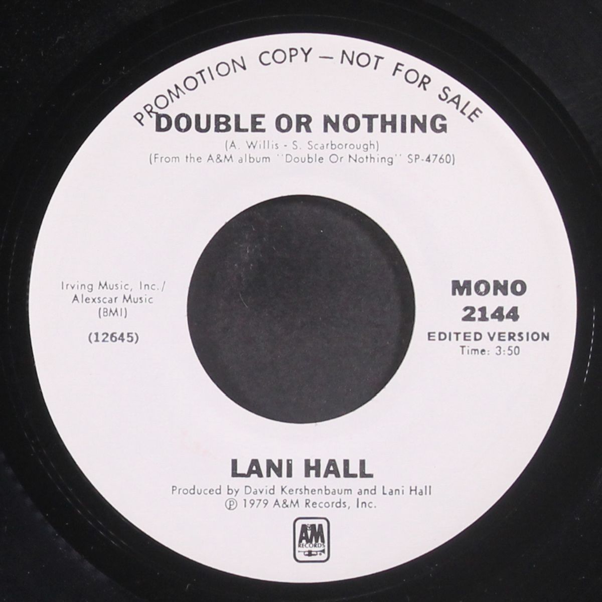 double or nothing / mono by LANI HALL
