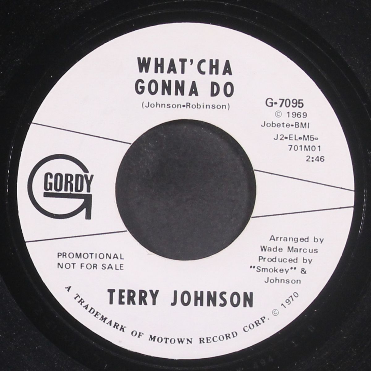 what'cha gonna do / same by TERRY JOHNSON