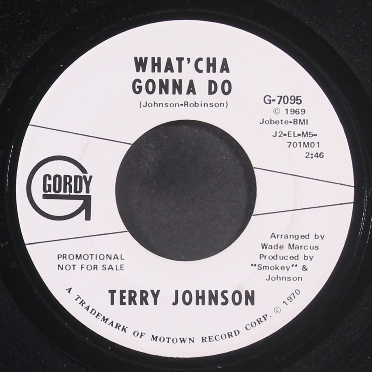 what'cha gonna do / same by TERRY JOHNSON