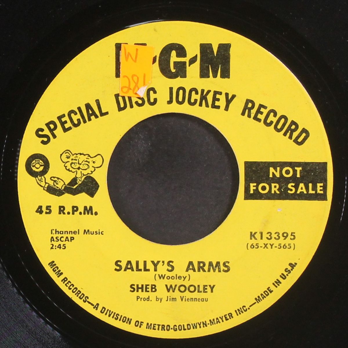 sally's arms by SHEB WOOLEY