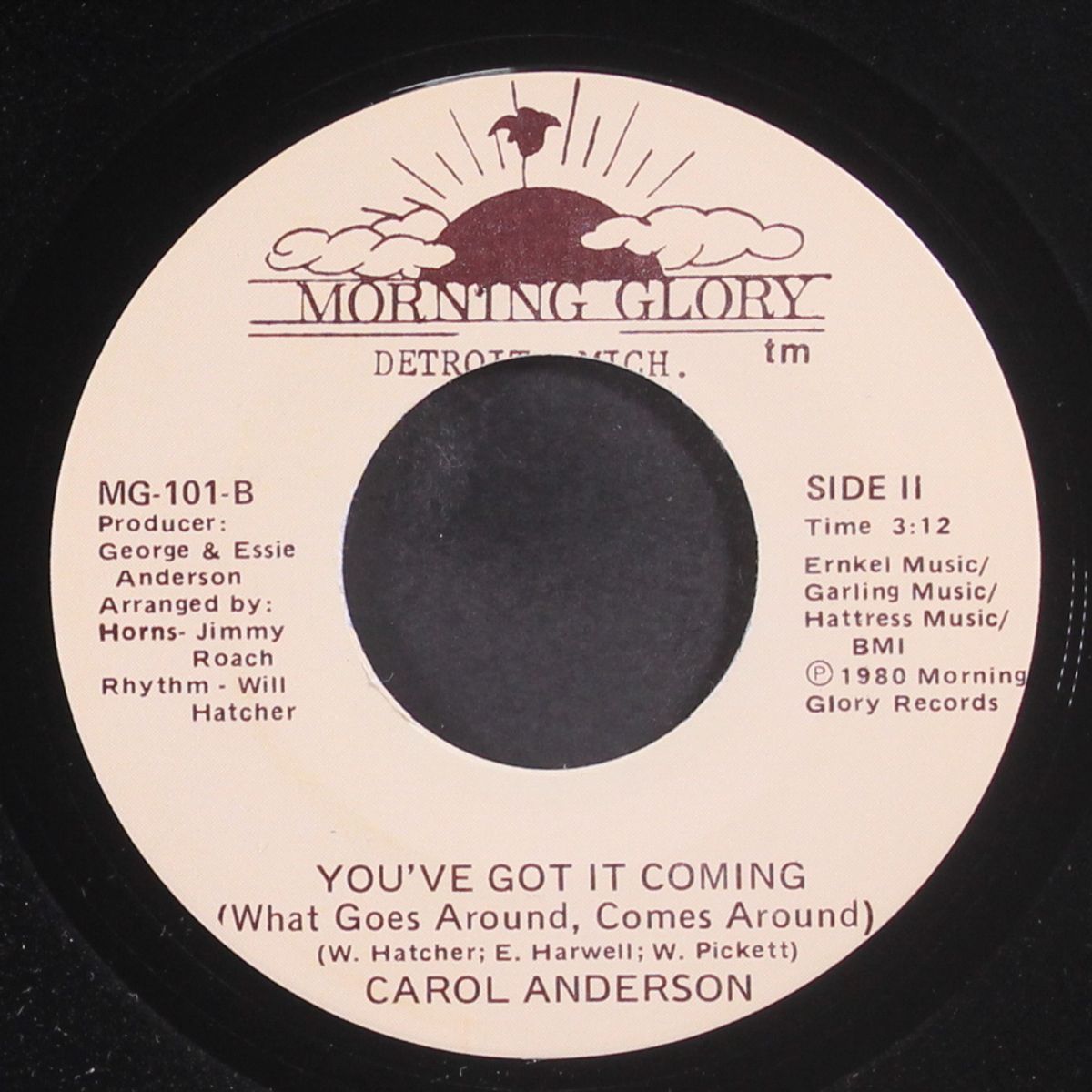 party people / you've got it coming by CAROL ANDERSON