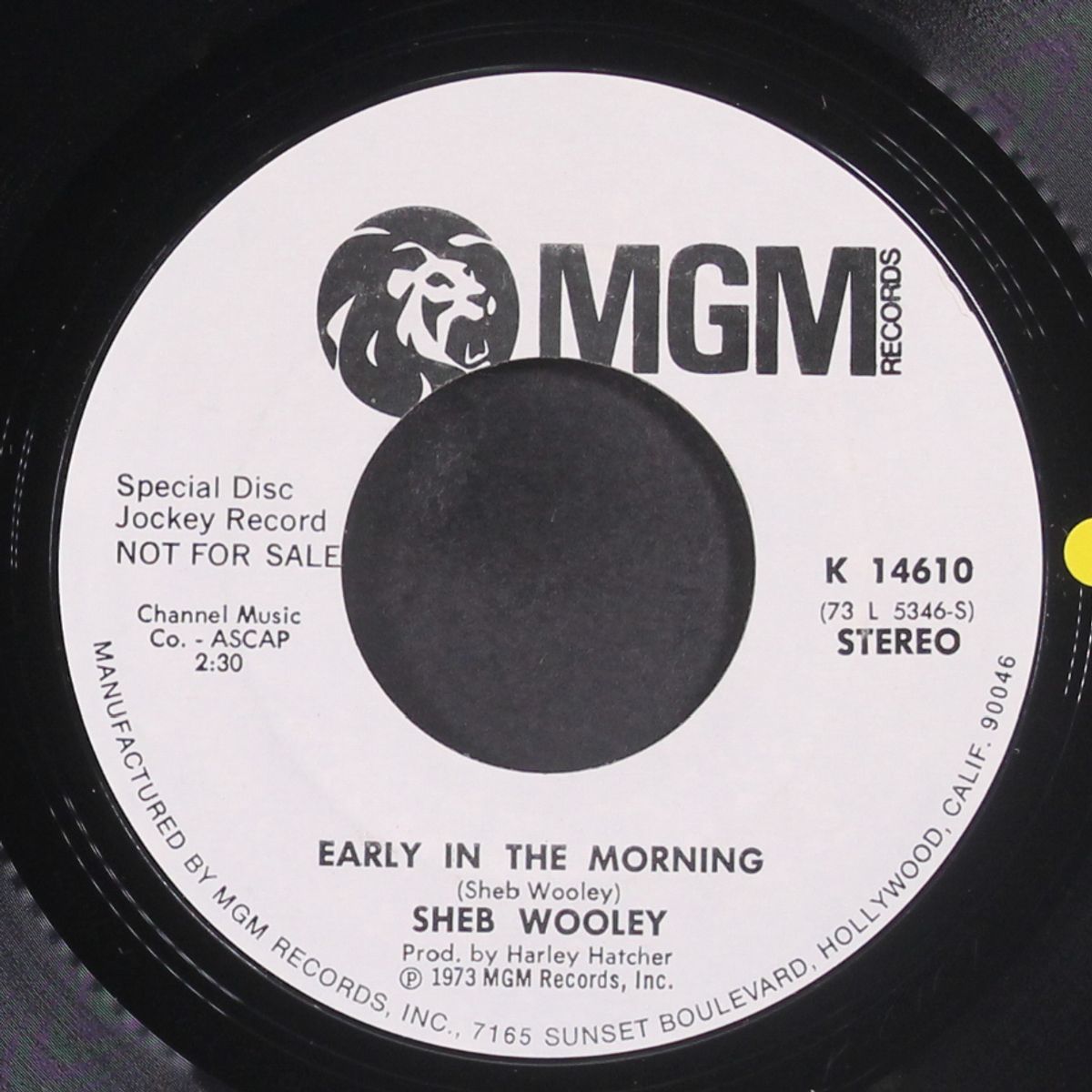 early in the morning / mono by SHEB WOOLEY