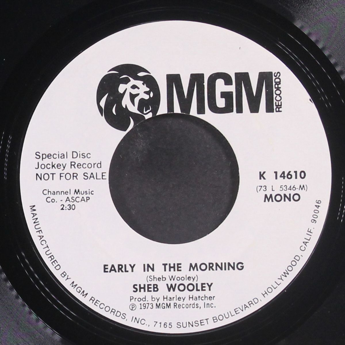 early in the morning / mono by SHEB WOOLEY