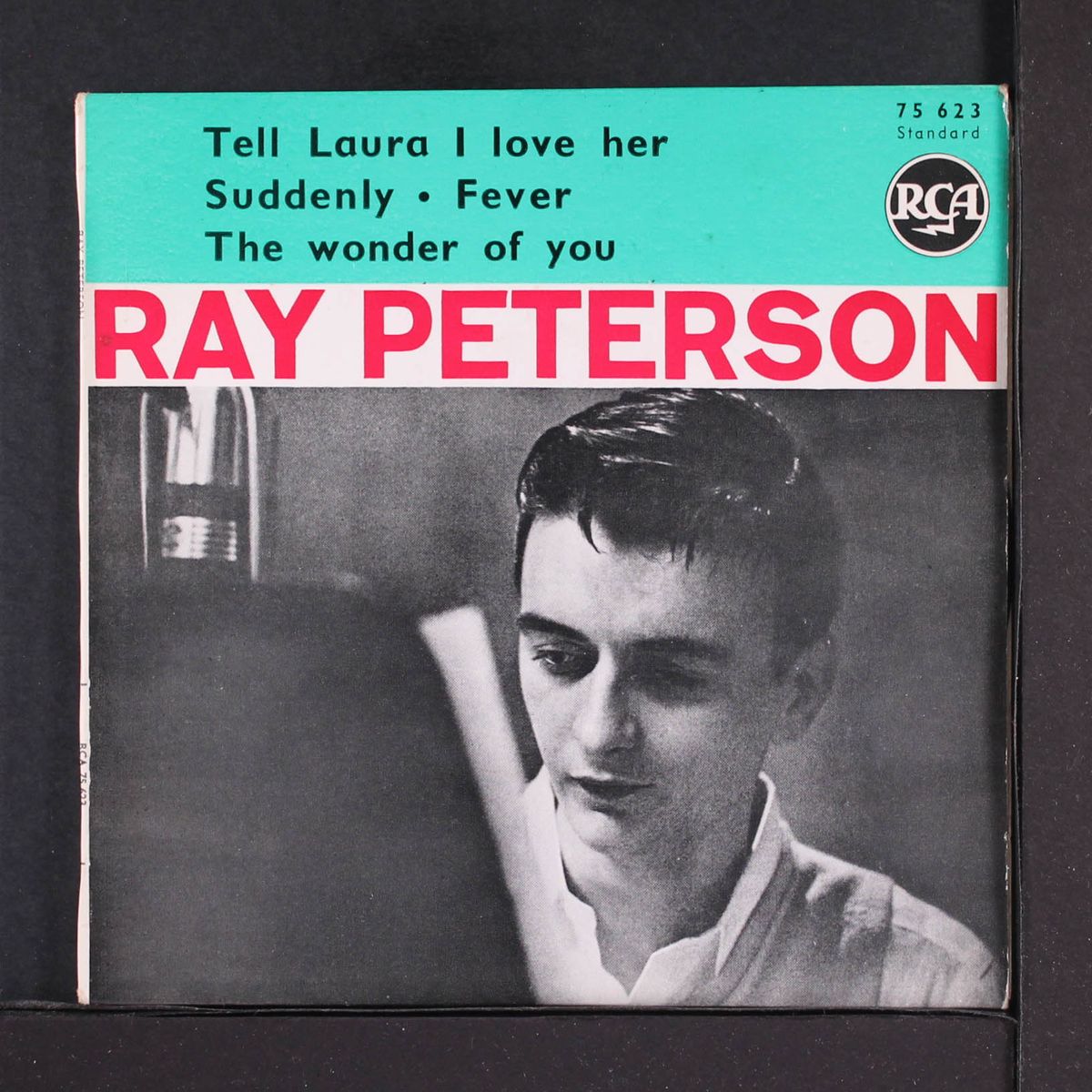 tell laura i love her by RAY PETERSON