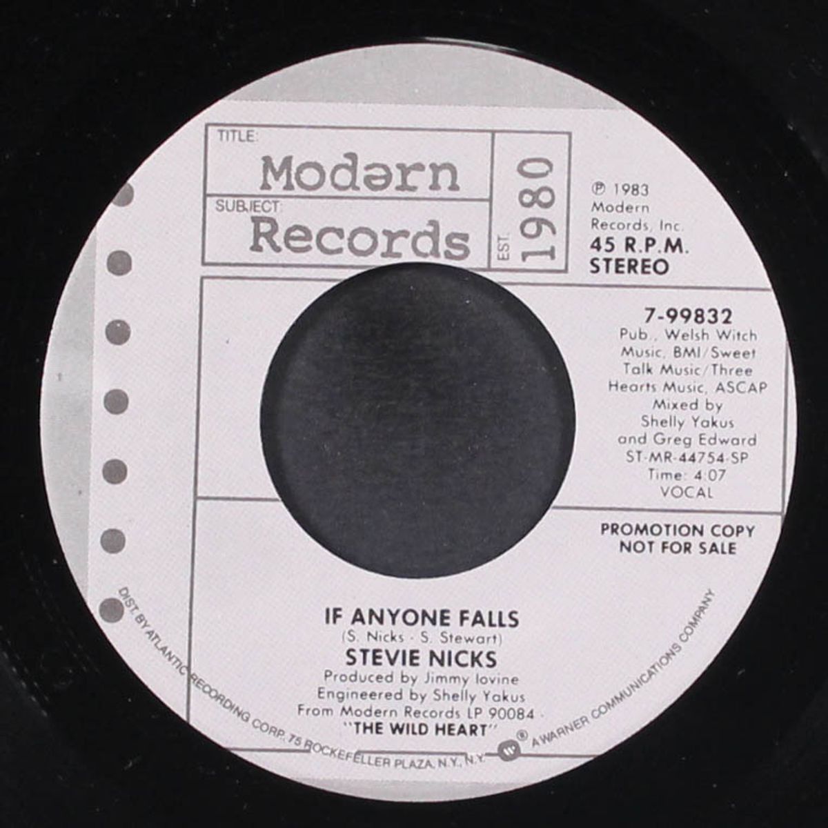 if anyone falls by STEVIE NICKS