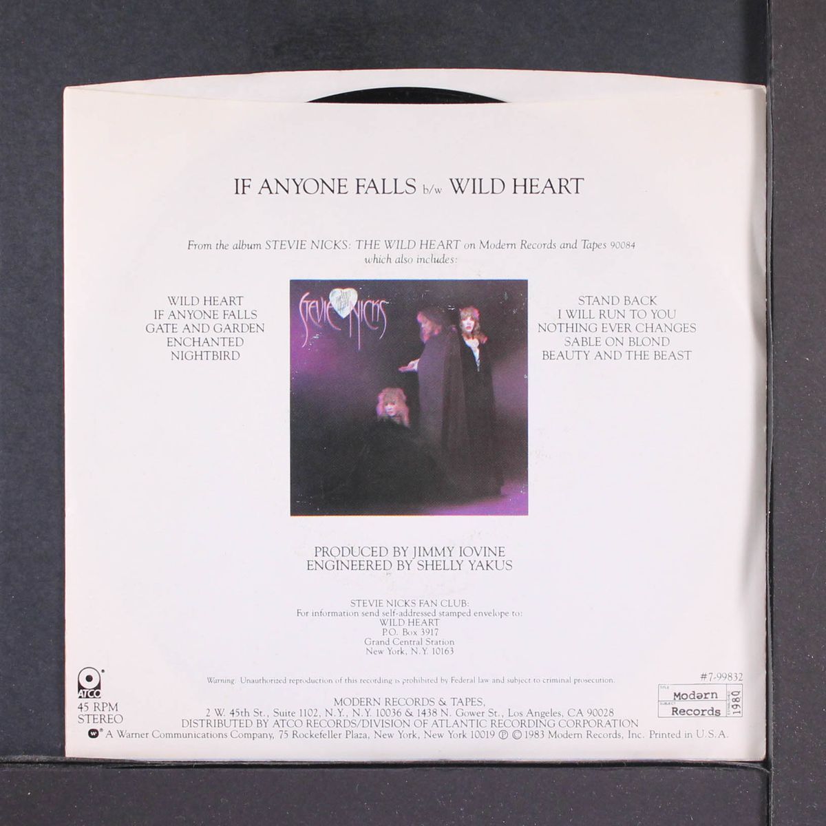 if anyone falls by STEVIE NICKS
