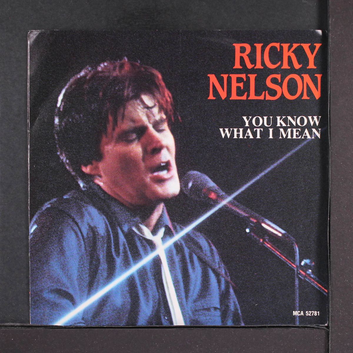 you know what i mean / don't leave me this way by RICKY NELSON