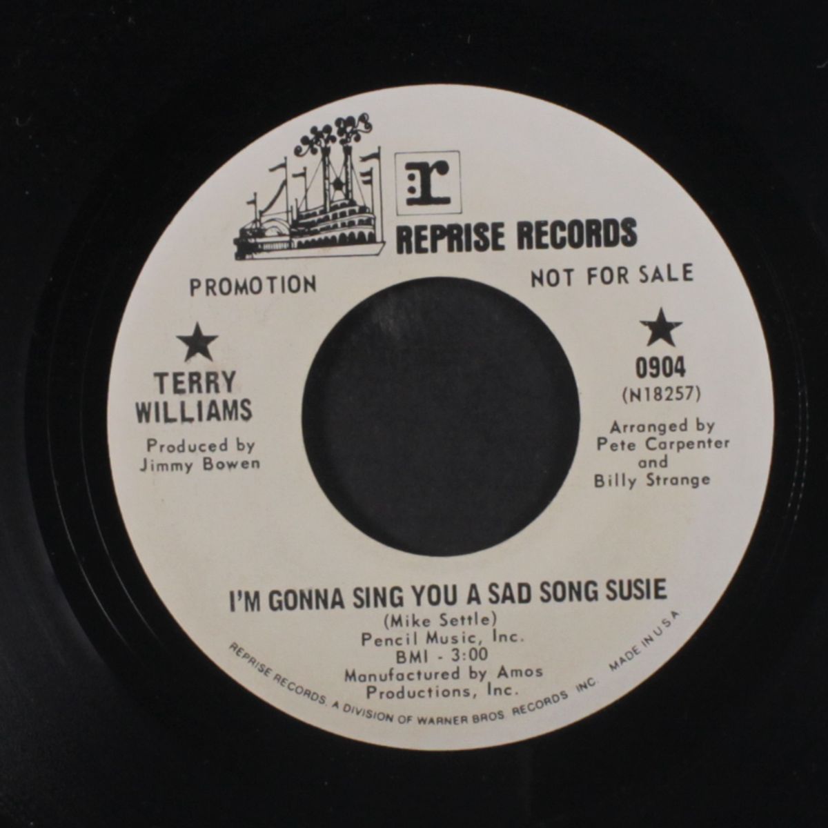i'm gonna sing... / if i could only change your mind by TERRY WILLIAMS