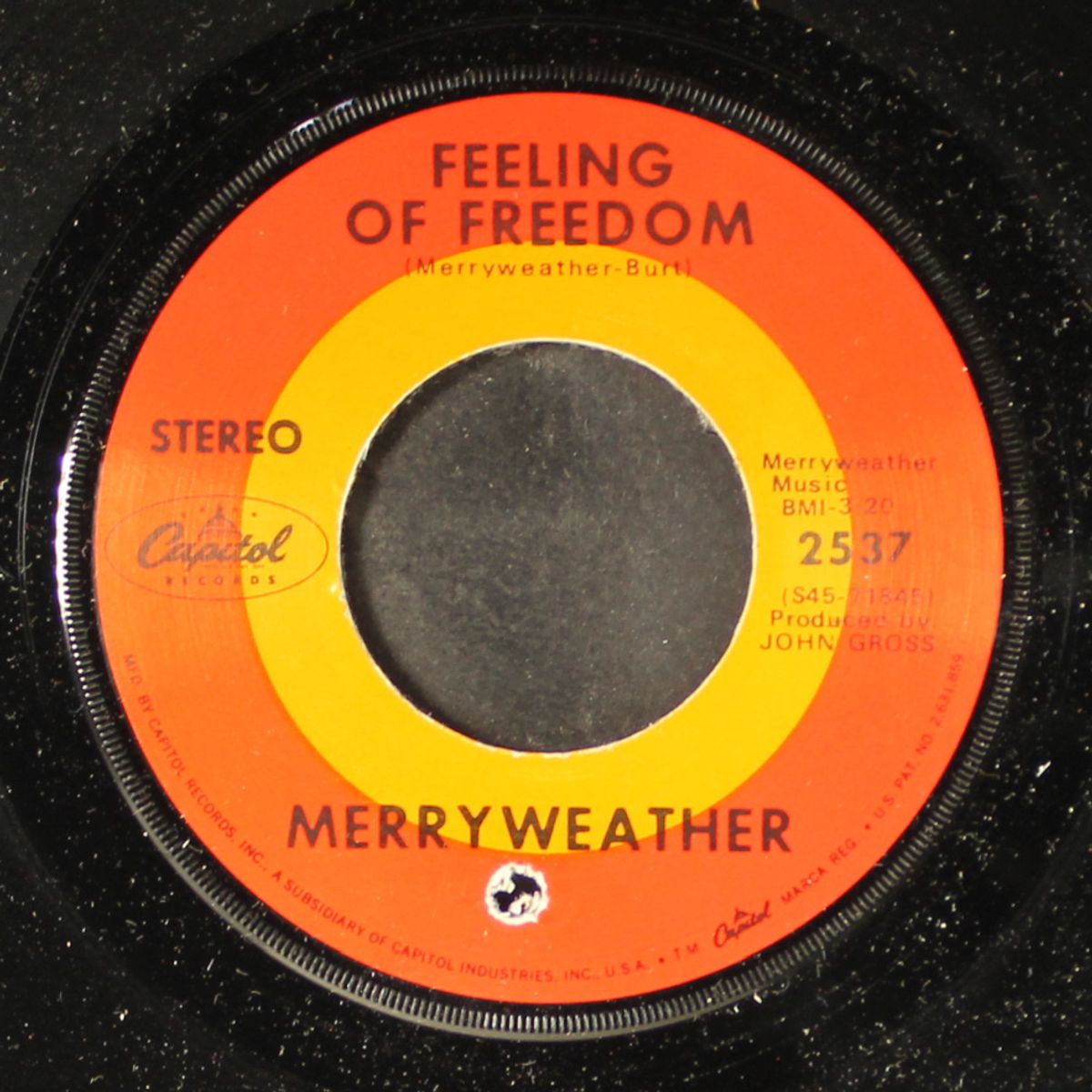 curiosity / feeling of freedom by MERRYWEATHER