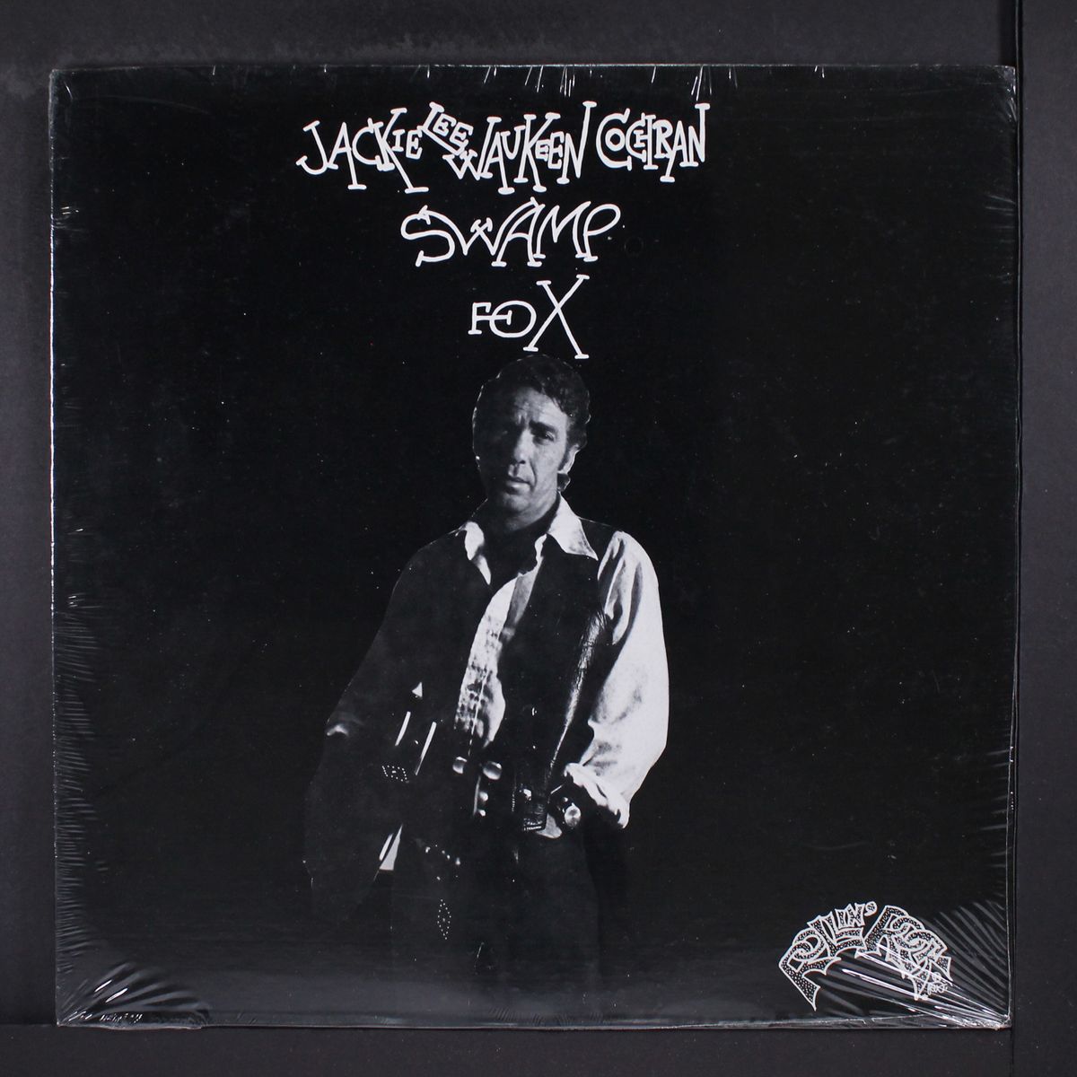 swamp fox by JACKIE LEE COCHRAN