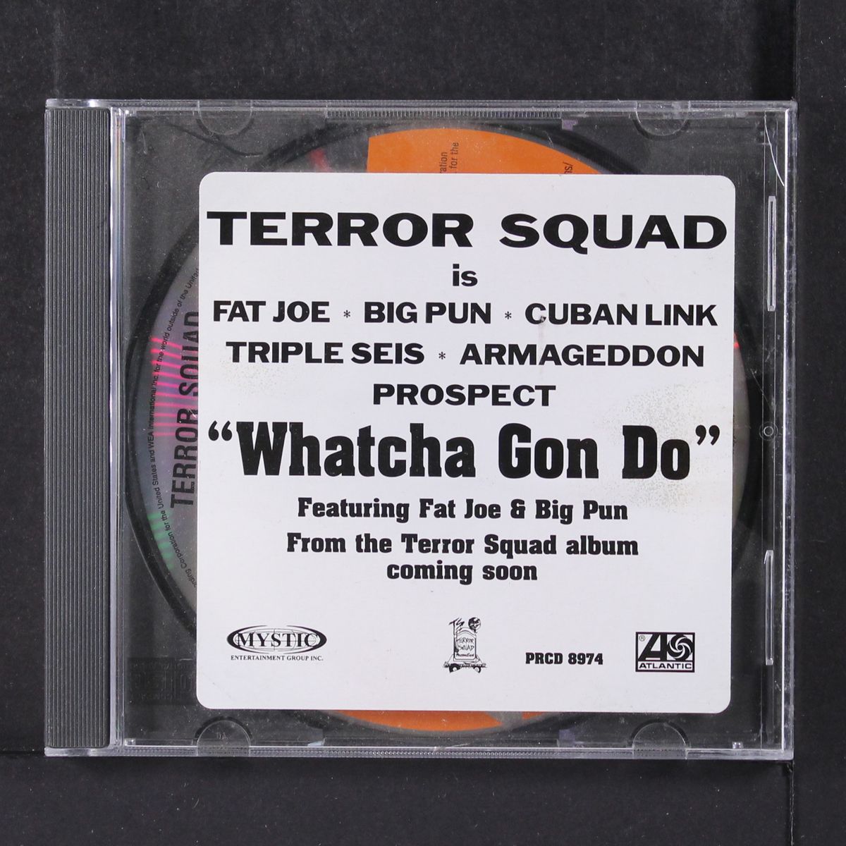 whatcha gon do by TERROR SQUAD