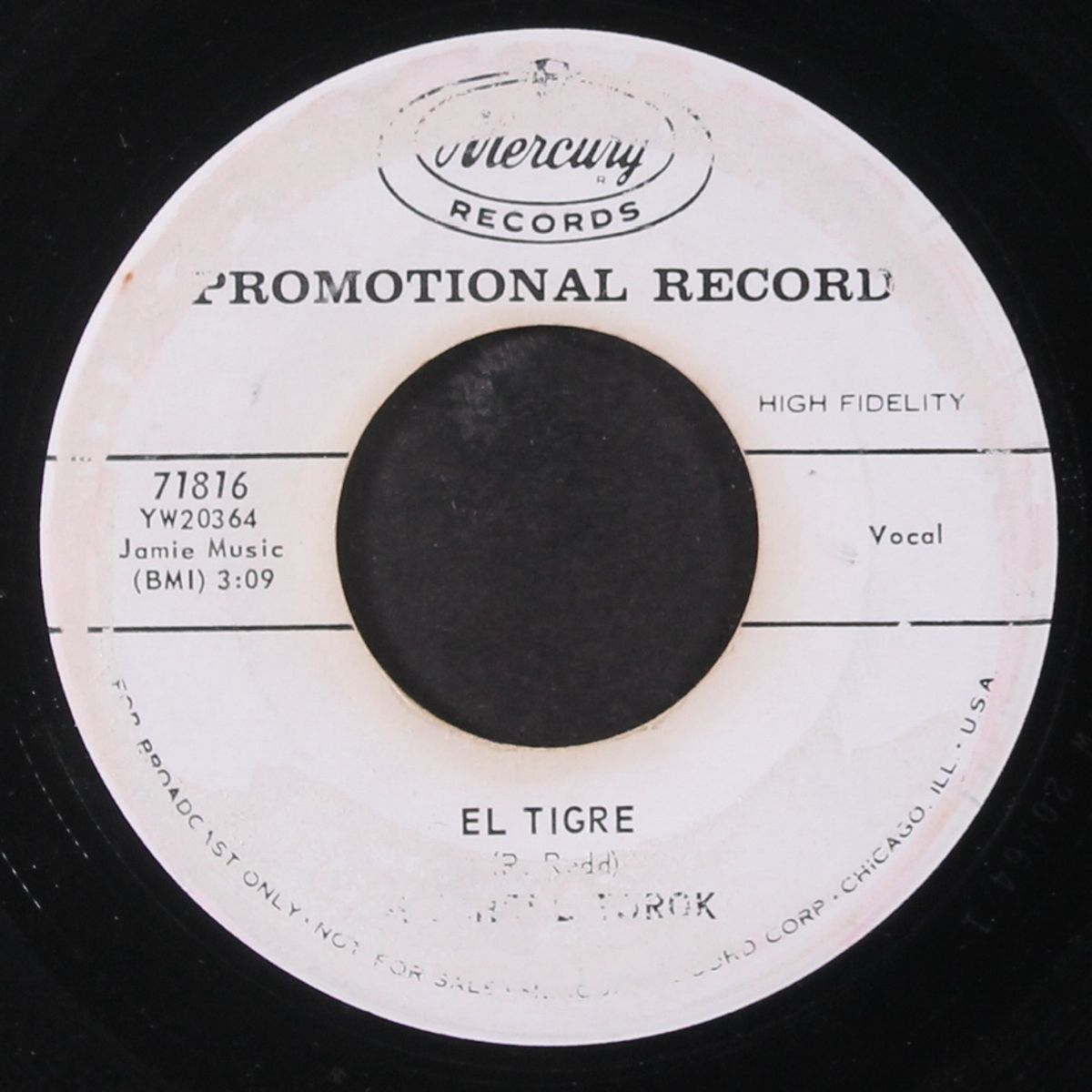 el tigre / eating my heart out by MITCHELL TOROK