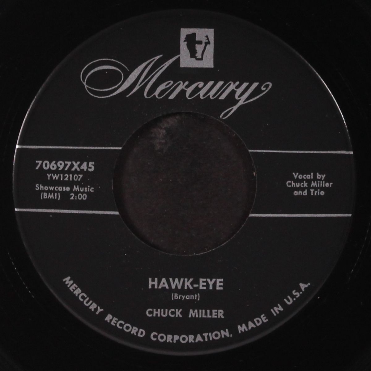hawk-eye by CHUCK MILLER