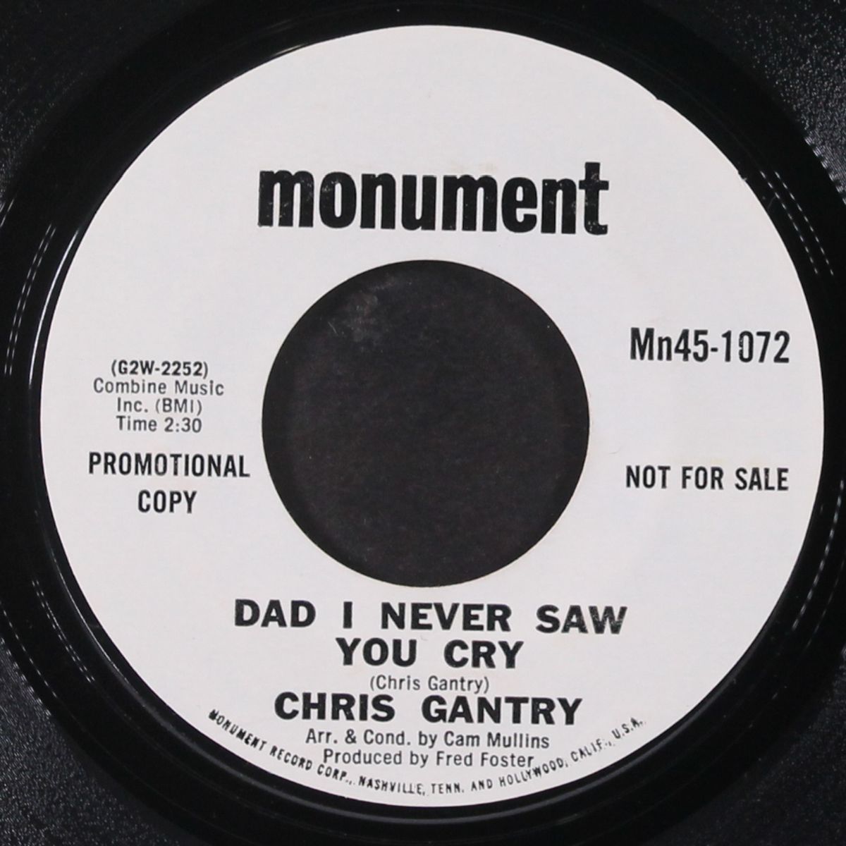 dreams of the everyday housewife / dad i never saw you cry by CHRIS GANTRY