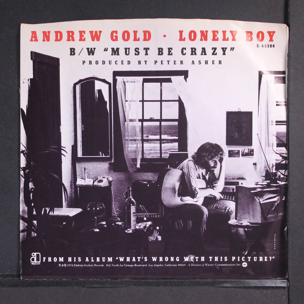 lonely boy / must be crazy by ANDREW GOLD